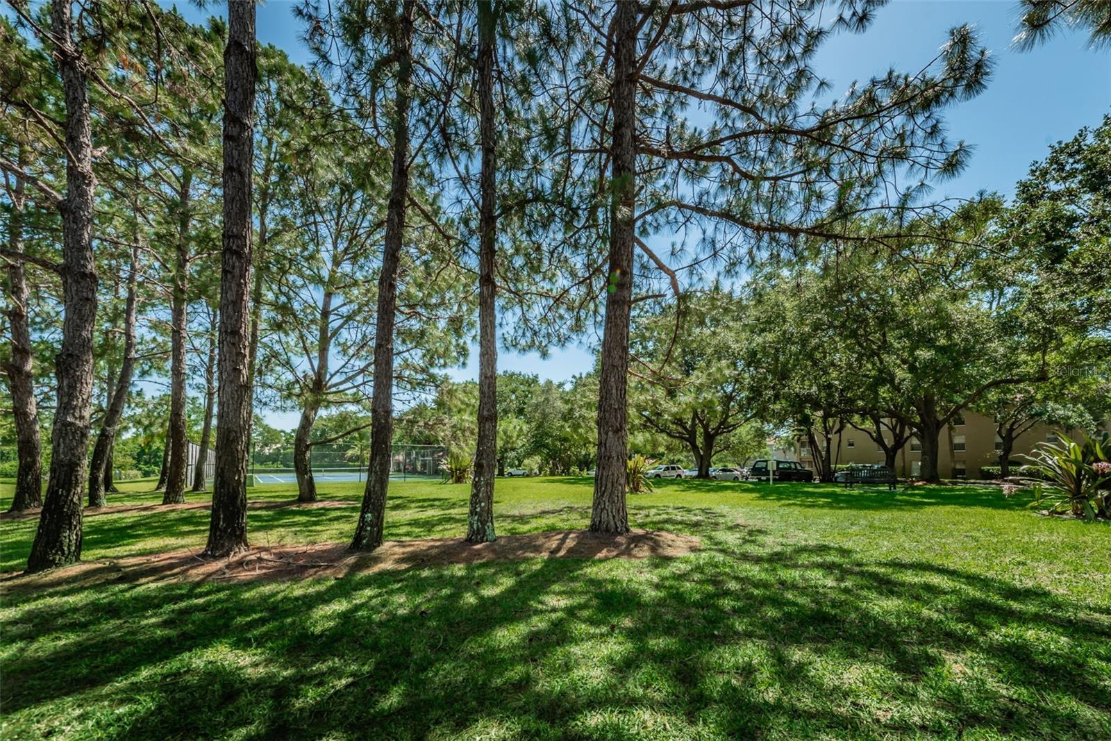 2690 CORAL LANDINGS BLVD #722, PALM HARBOR, FL, 34684