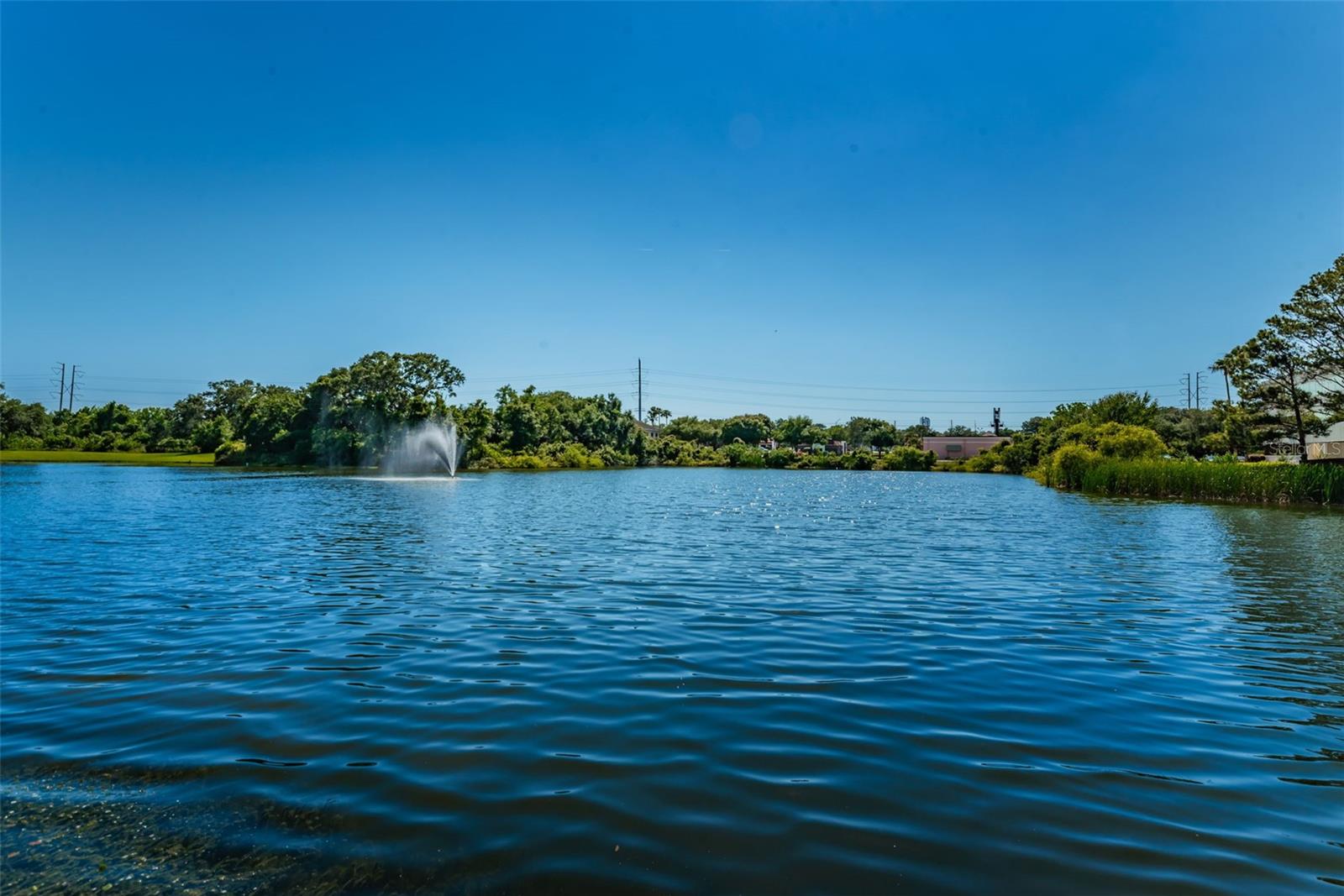 2690 CORAL LANDINGS BLVD #722, PALM HARBOR, FL, 34684