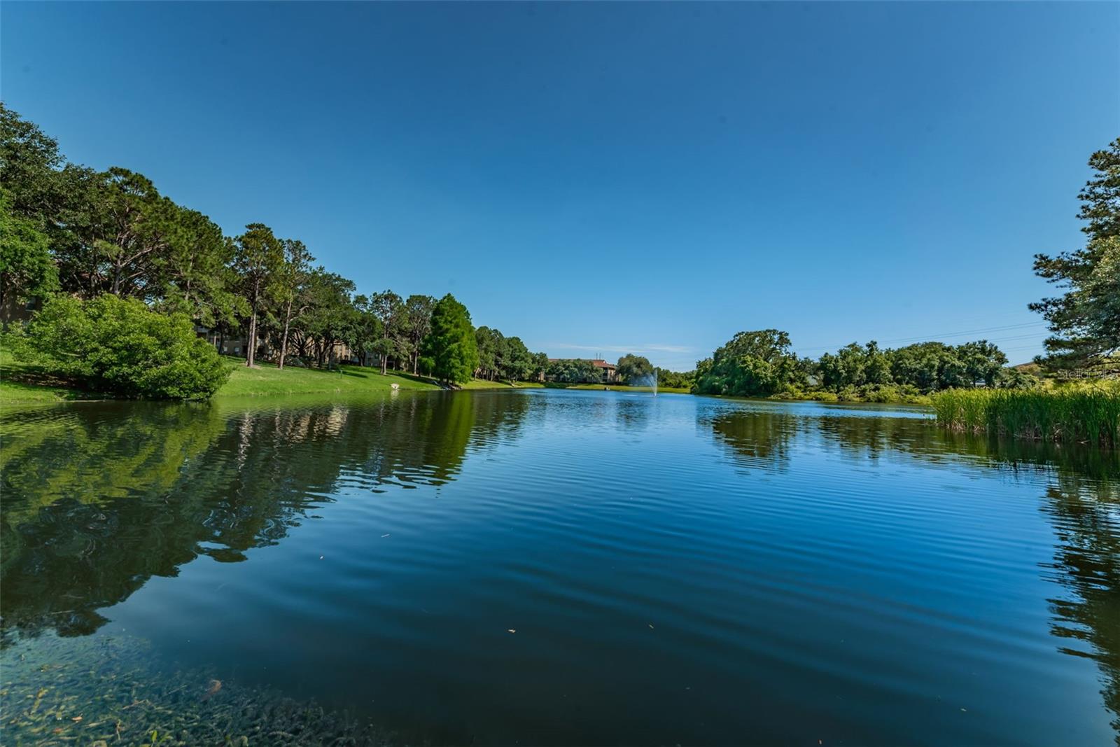 2690 CORAL LANDINGS BLVD #722, PALM HARBOR, FL, 34684