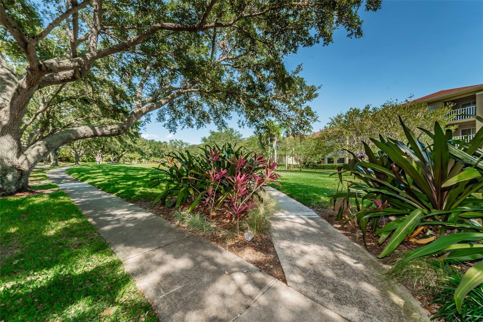 2690 CORAL LANDINGS BLVD #722, PALM HARBOR, FL, 34684