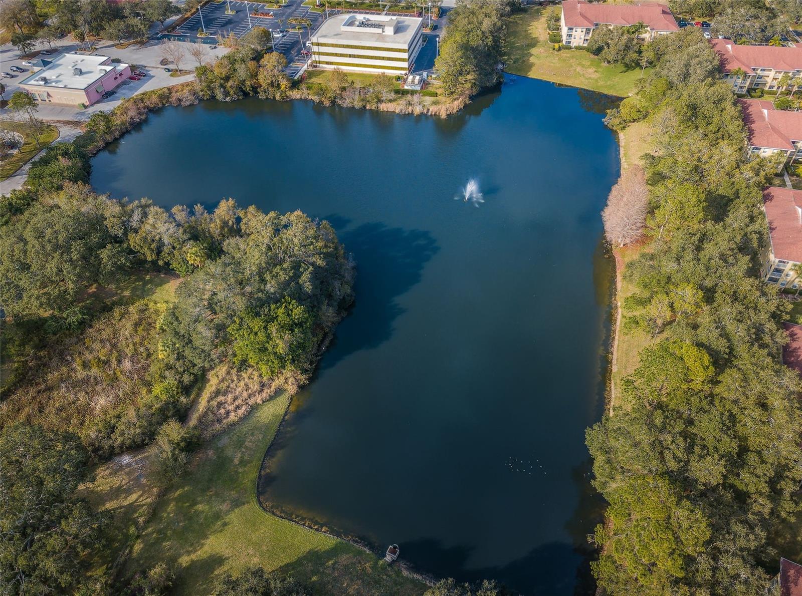 2690 CORAL LANDINGS BLVD #722, PALM HARBOR, FL, 34684