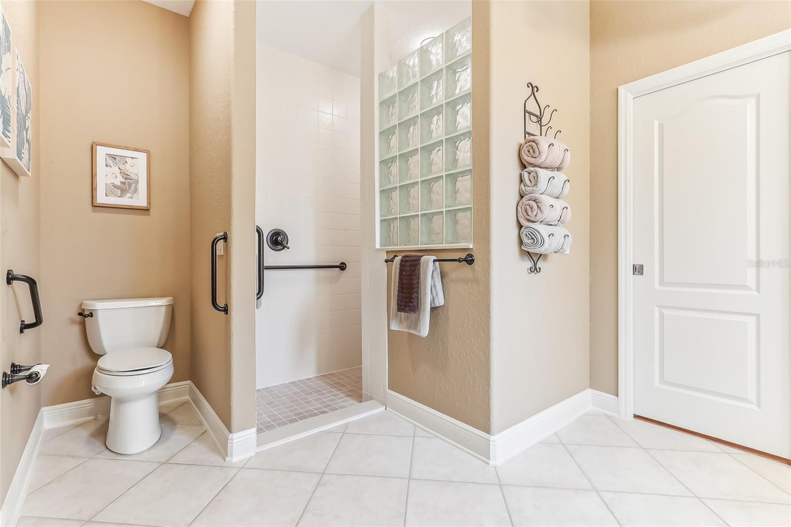 1596 BIRMINGHAM TER, THE VILLAGES, FL, 32162