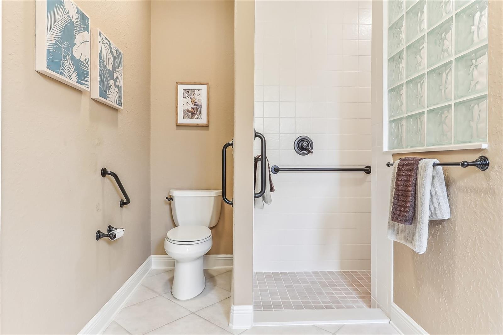 1596 BIRMINGHAM TER, THE VILLAGES, FL, 32162