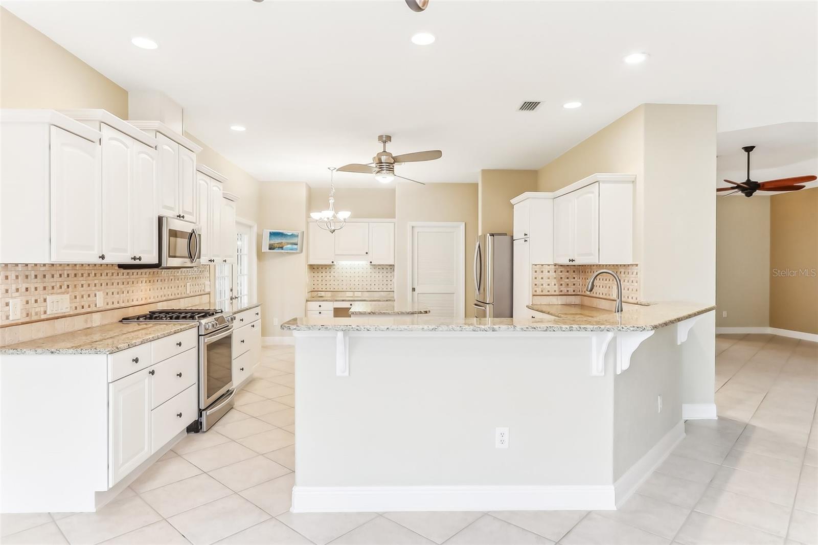 1596 BIRMINGHAM TER, THE VILLAGES, FL, 32162