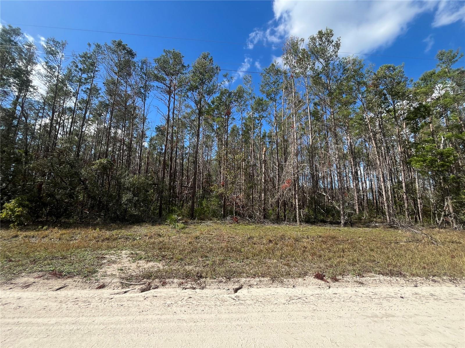 ATLANTIC ST, PERRY, FL, 32348