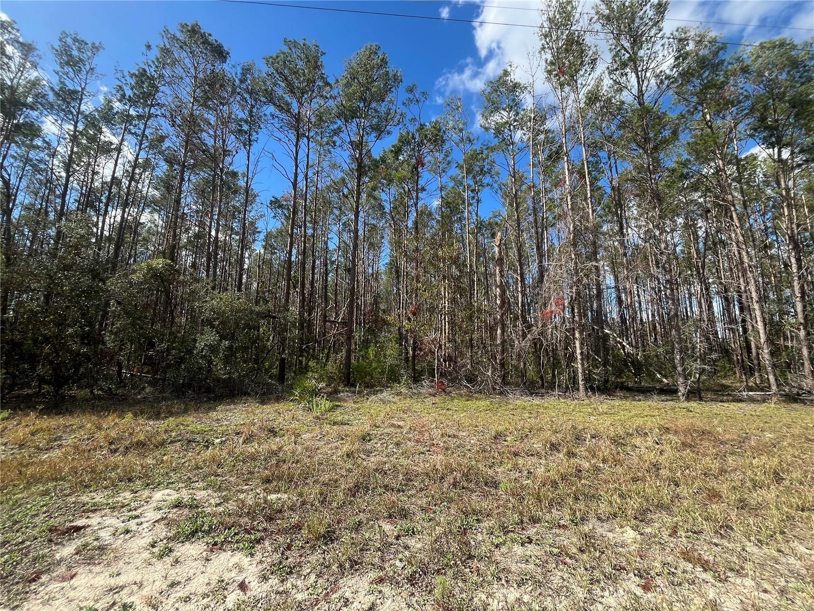 ATLANTIC ST, PERRY, FL, 32348