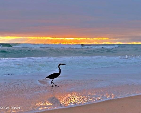 11 SUNRISE AVE, ORMOND BEACH, FL, 32176