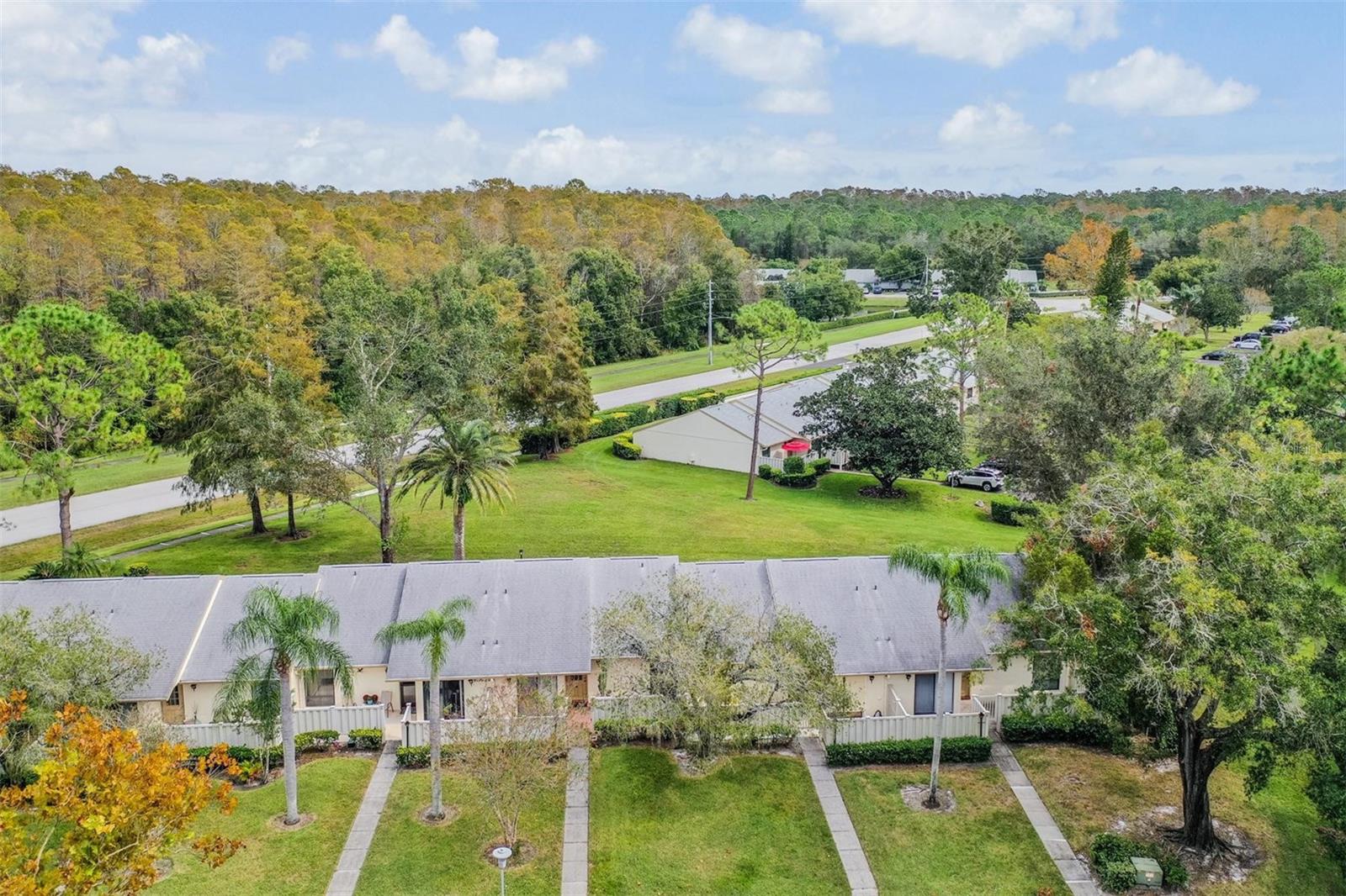 1333 SHADY PINE WAY #D, TARPON SPRINGS, FL, 34688