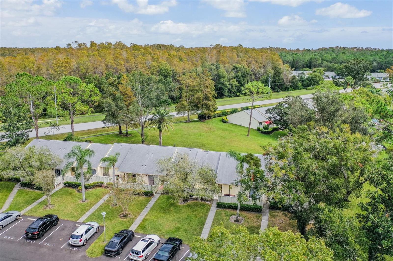 1333 SHADY PINE WAY #D, TARPON SPRINGS, FL, 34688