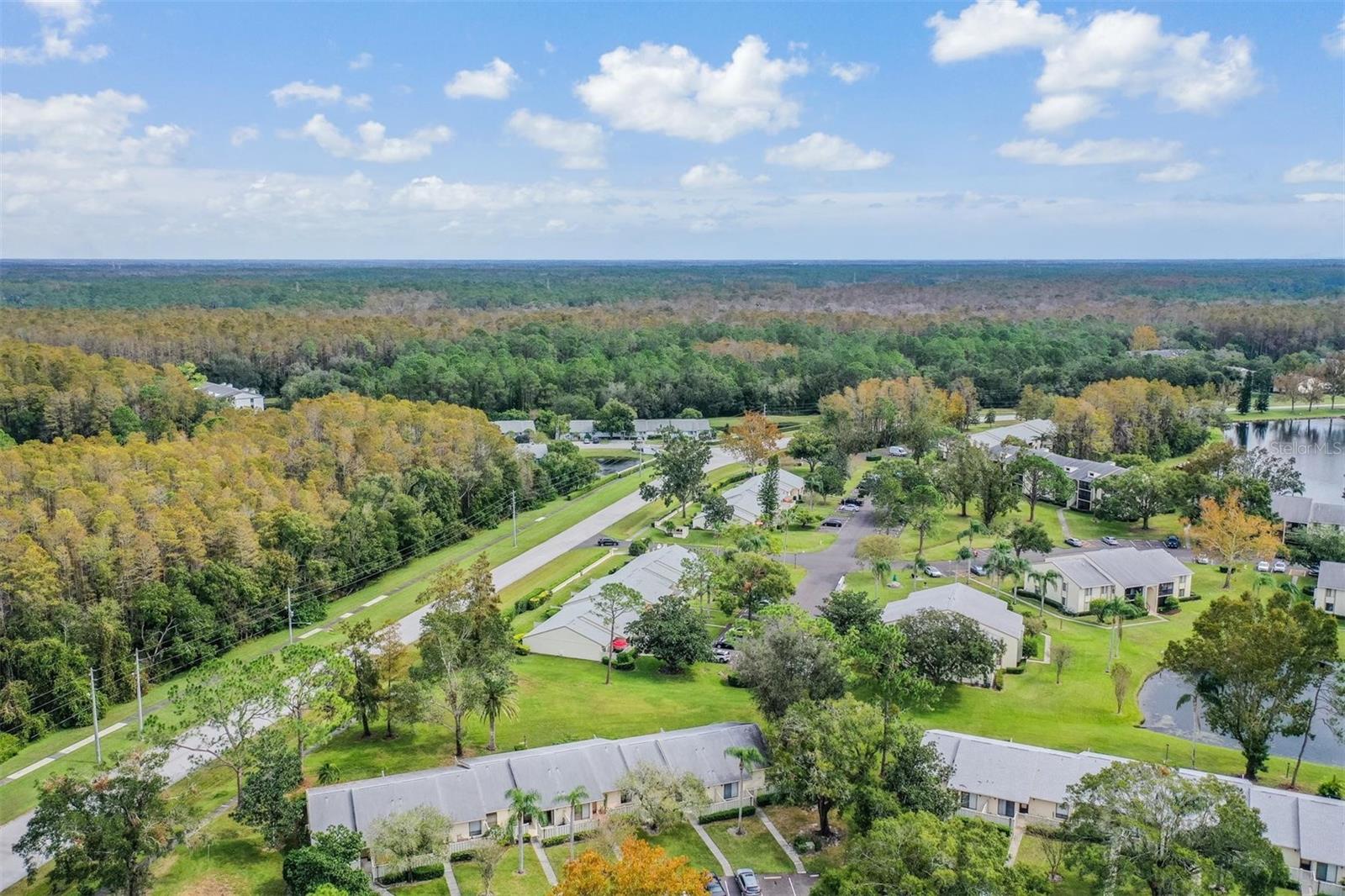 1333 SHADY PINE WAY #D, TARPON SPRINGS, FL, 34688