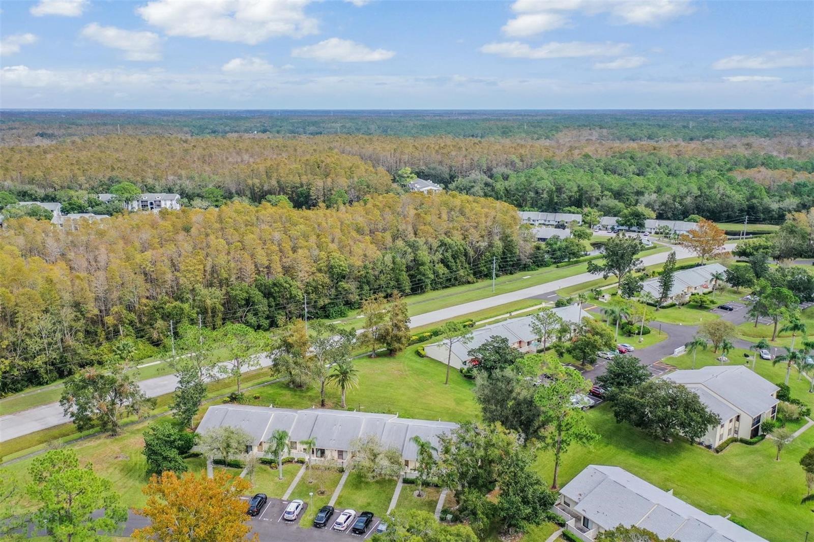 1333 SHADY PINE WAY #D, TARPON SPRINGS, FL, 34688