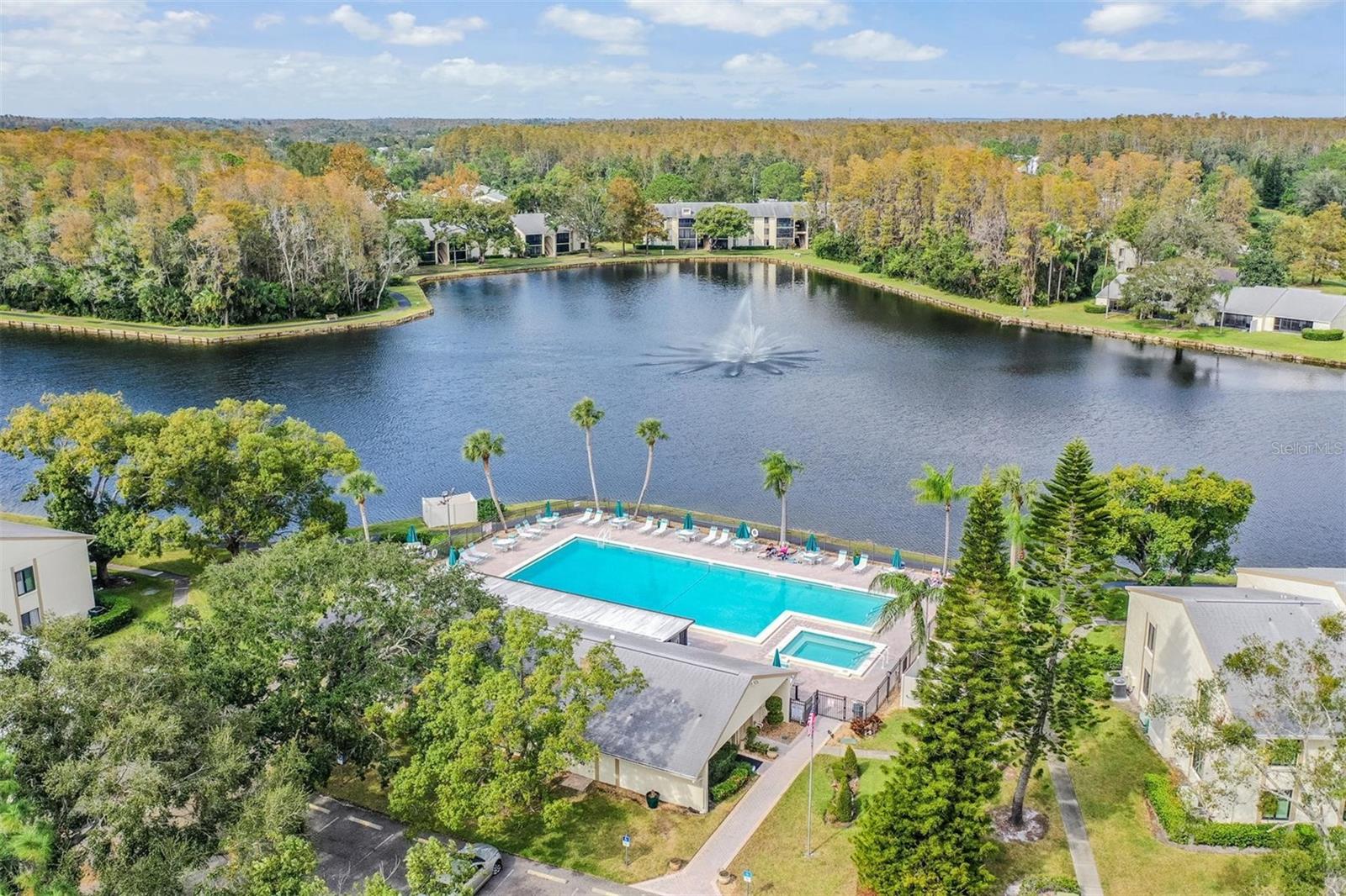 1333 SHADY PINE WAY #D, TARPON SPRINGS, FL, 34688