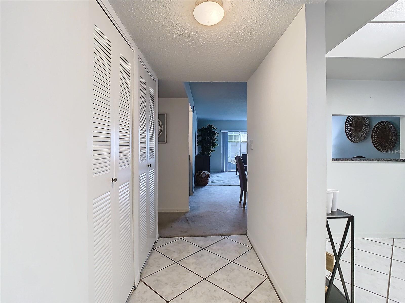 3713 CHAMPAGNE DR #115, TAMPA, FL, 33618