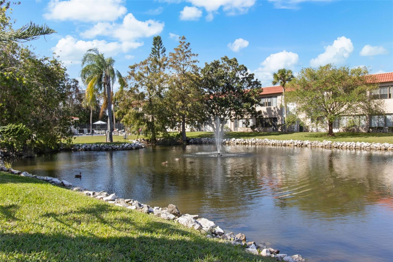 1750 BELLEAIR FOREST DR #B5, BELLEAIR, FL, 33756