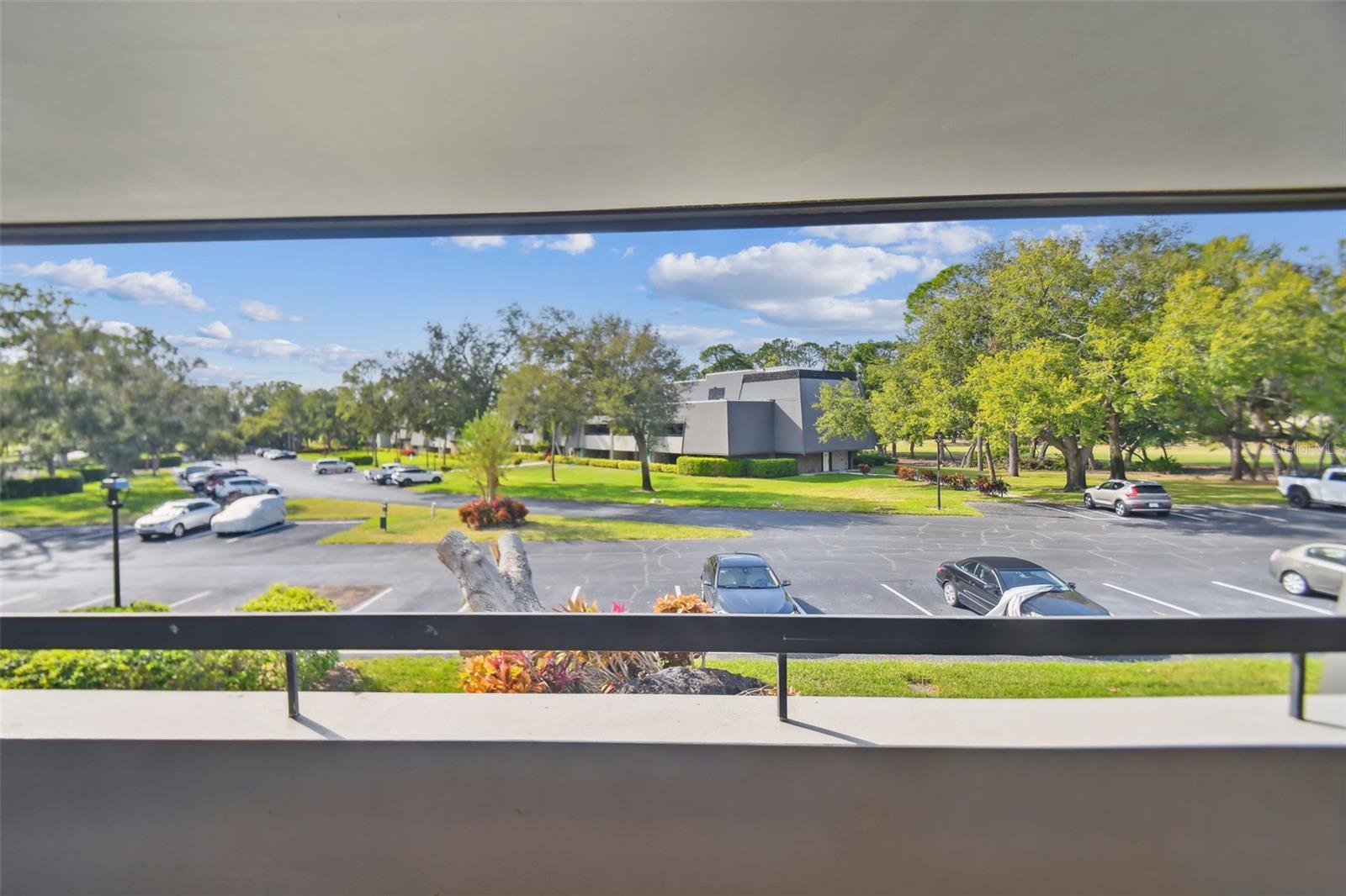 36750 US HIGHWAY 19 N #19206, PALM HARBOR, FL, 34684