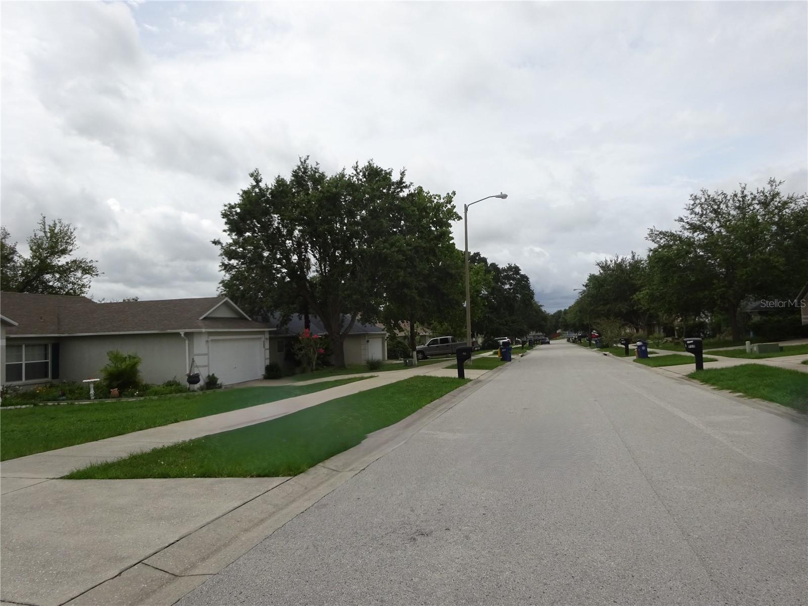 721 WILLOW RUN ST, MINNEOLA, FL, 34715