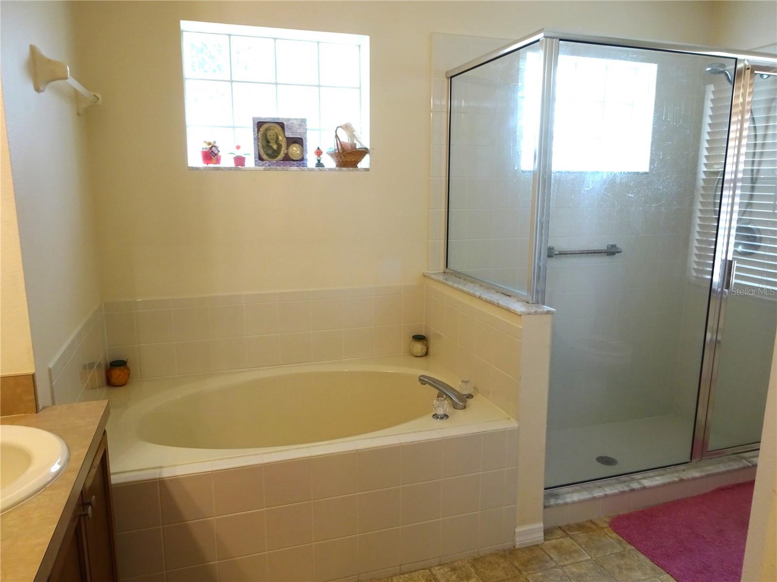 721 WILLOW RUN ST, MINNEOLA, FL, 34715