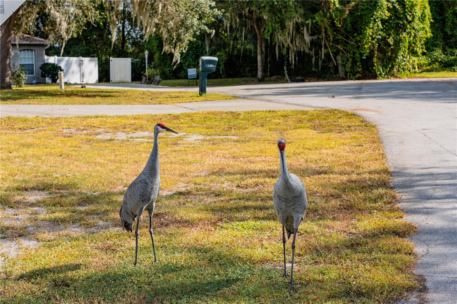 1020 HANFORD DR, DELTONA, FL, 32738