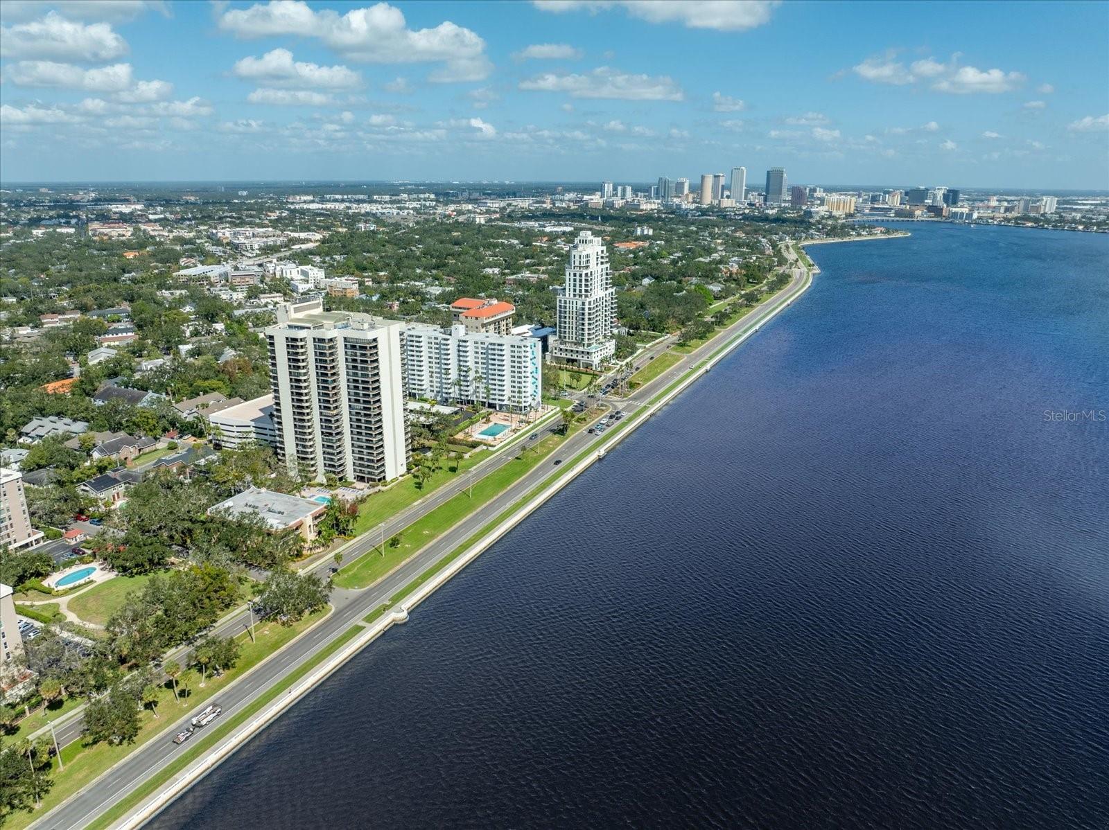 2413 BAYSHORE BLVD #1401, TAMPA, FL, 33629