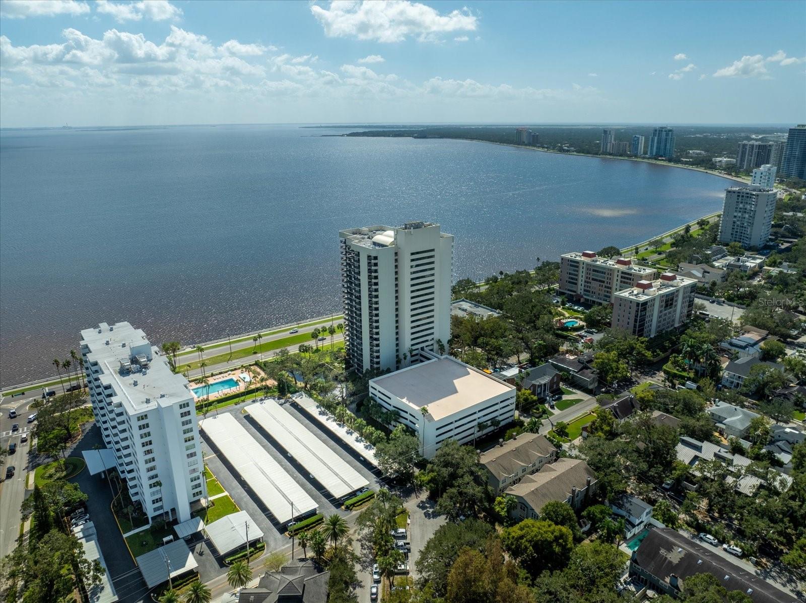 2413 BAYSHORE BLVD #1401, TAMPA, FL, 33629