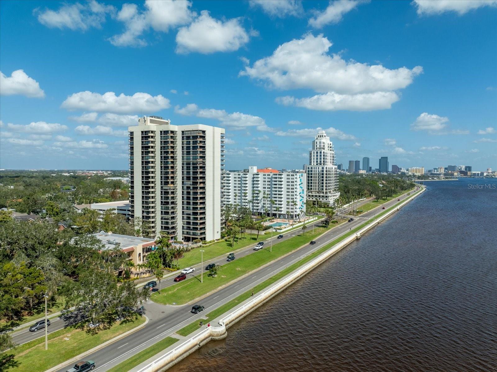 2413 BAYSHORE BLVD #1401, TAMPA, FL, 33629