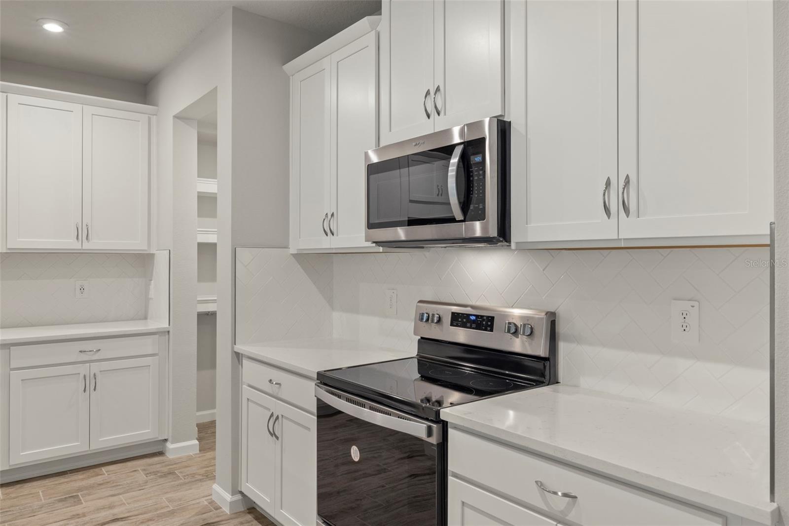 5620 BROOKLET WOODS DR, WESLEY CHAPEL, FL, 33545