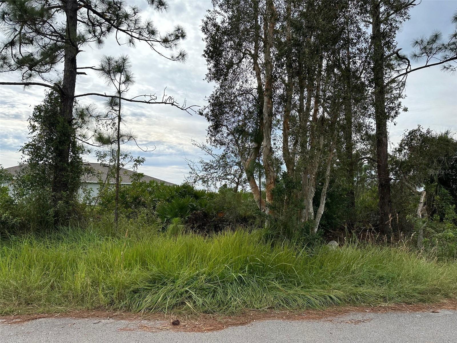 124 PEARSON ST, LEHIGH ACRES, FL, 33974