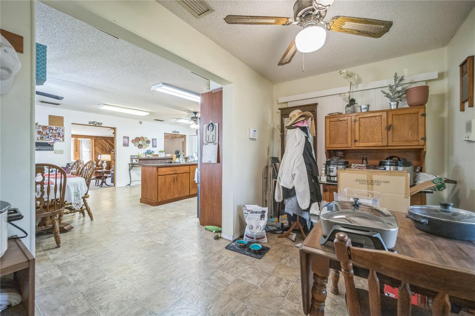 296 GRADY POLK RD, WINTER HAVEN, FL, 33880