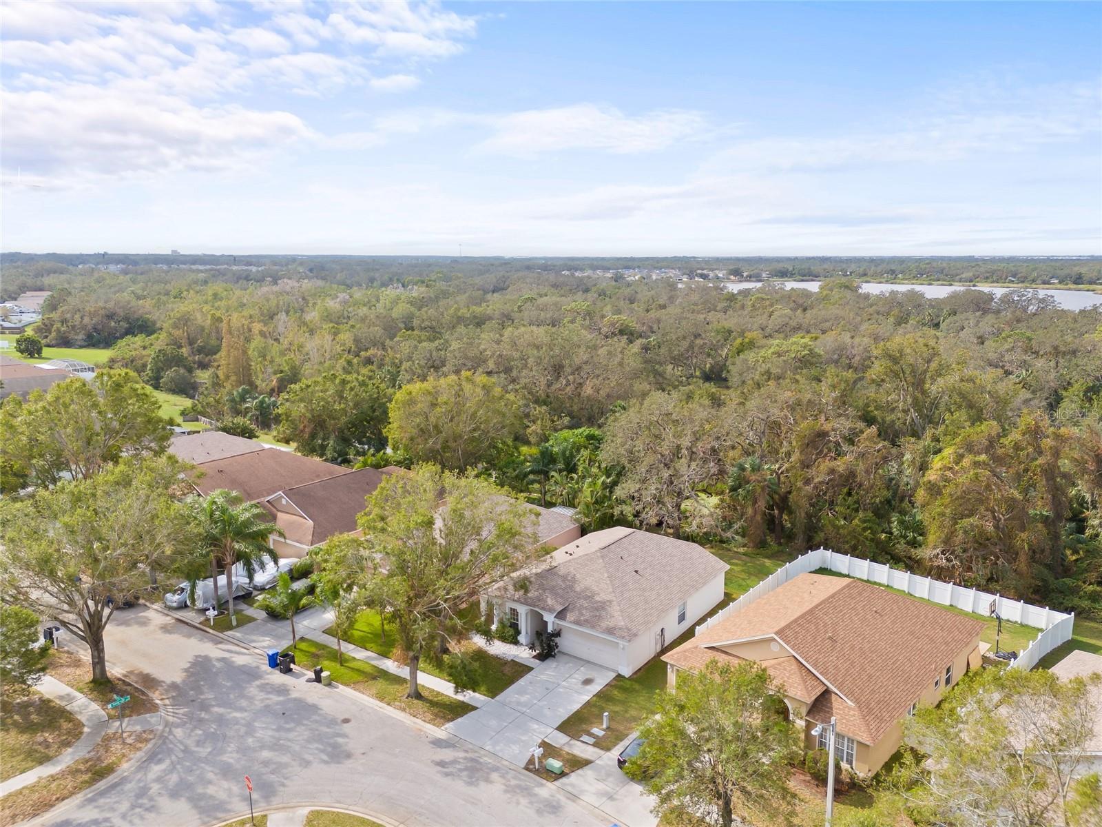 13102 EARLY RUN LN, RIVERVIEW, FL, 33578