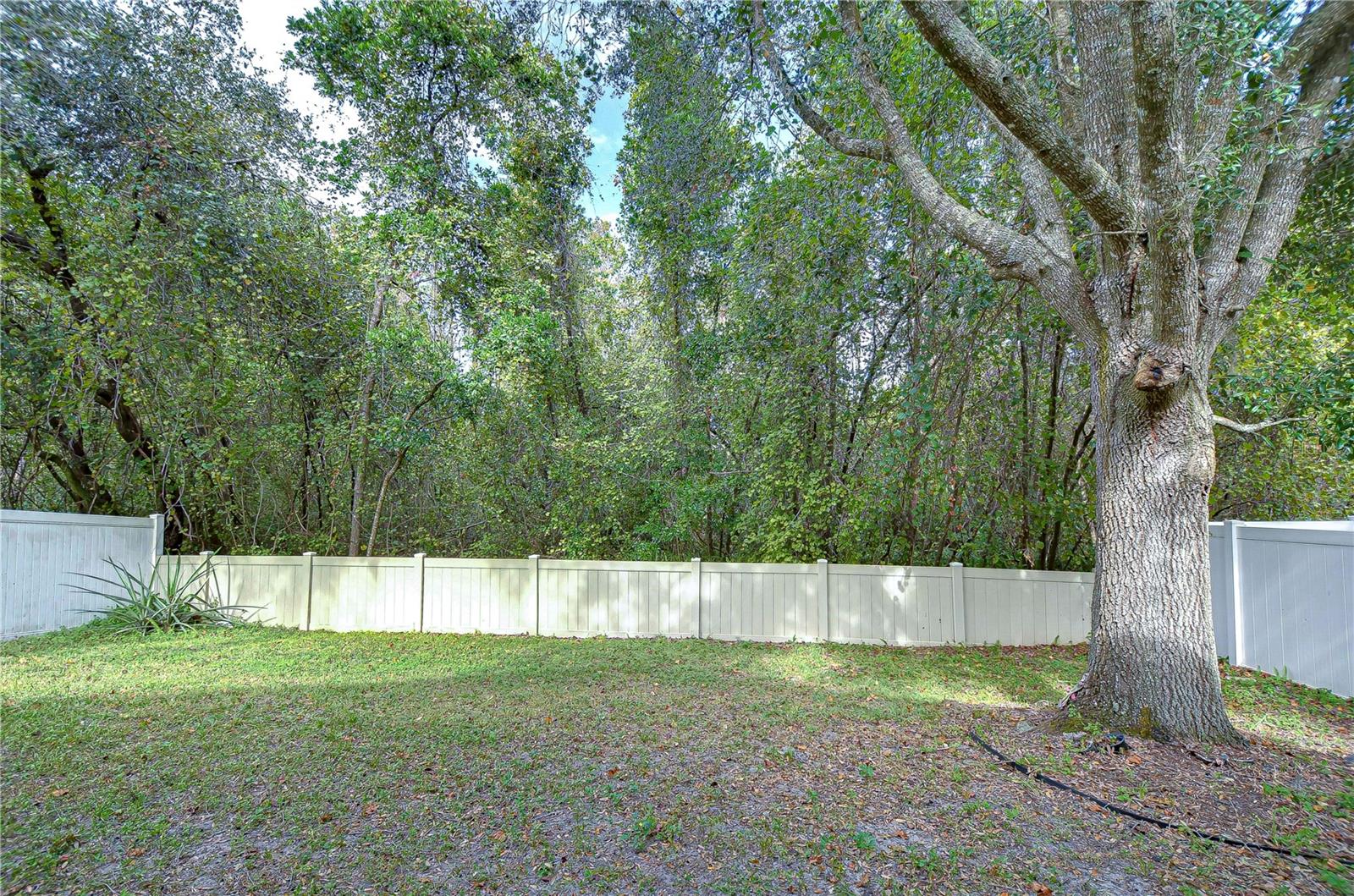 15501 PEPPER PINE CT, LAND O LAKES, FL, 34638