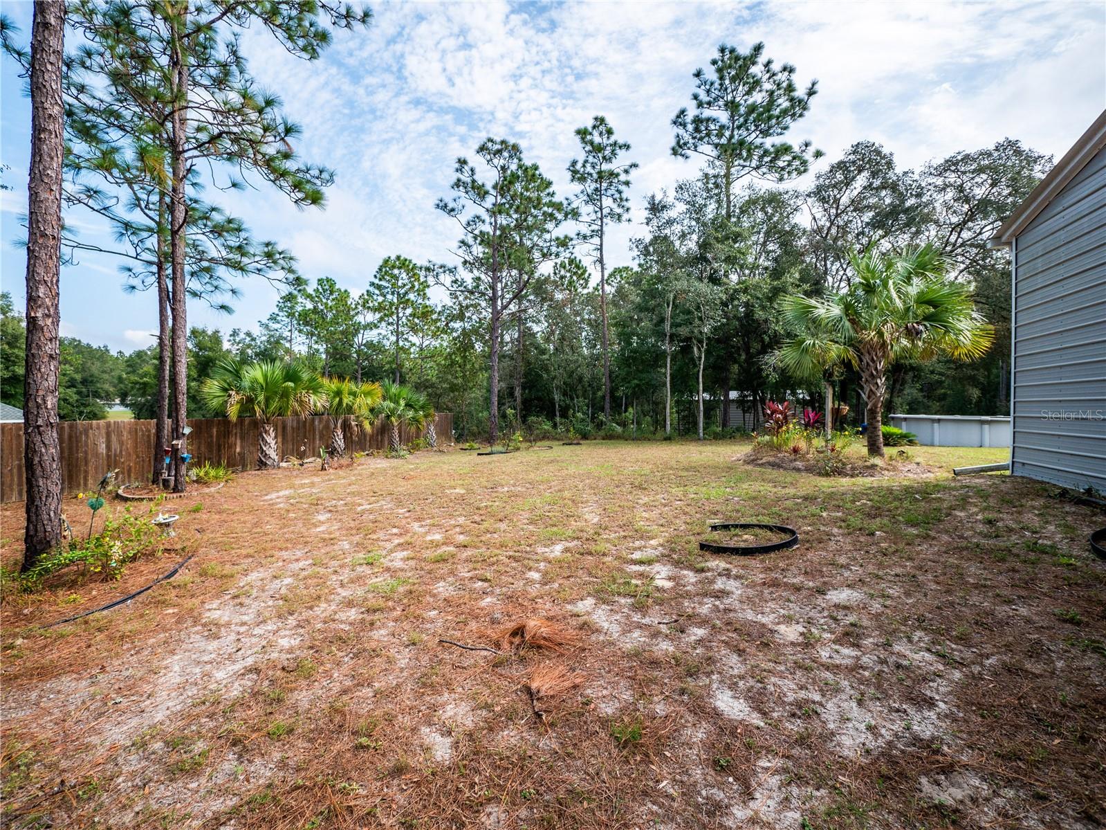 12805 SW 64TH LN, OCALA, FL, 34481