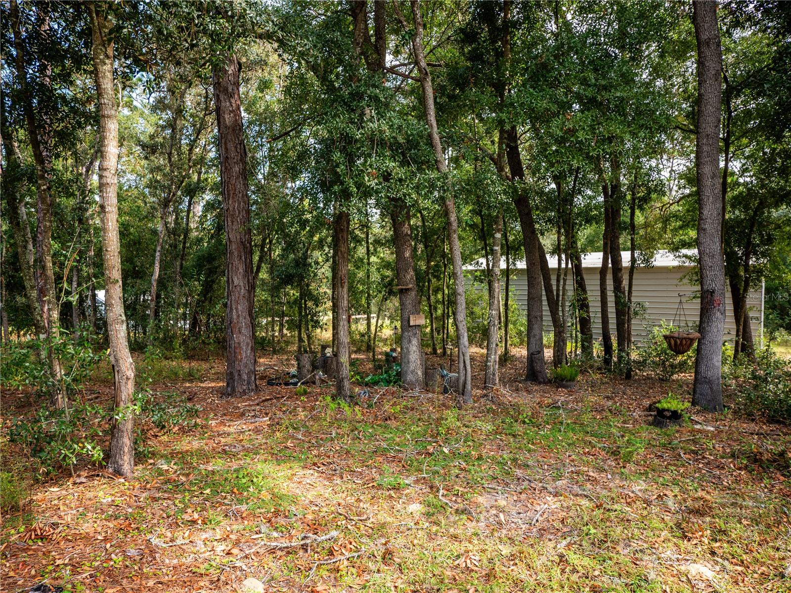 12805 SW 64TH LN, OCALA, FL, 34481