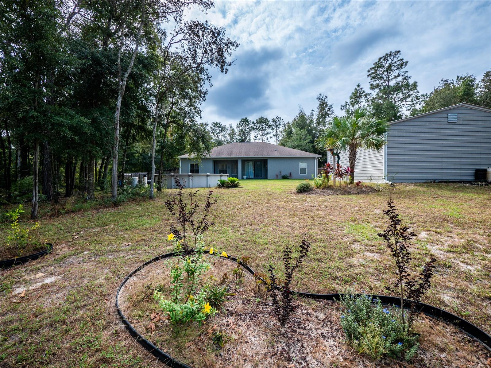 12805 SW 64TH LN, OCALA, FL, 34481