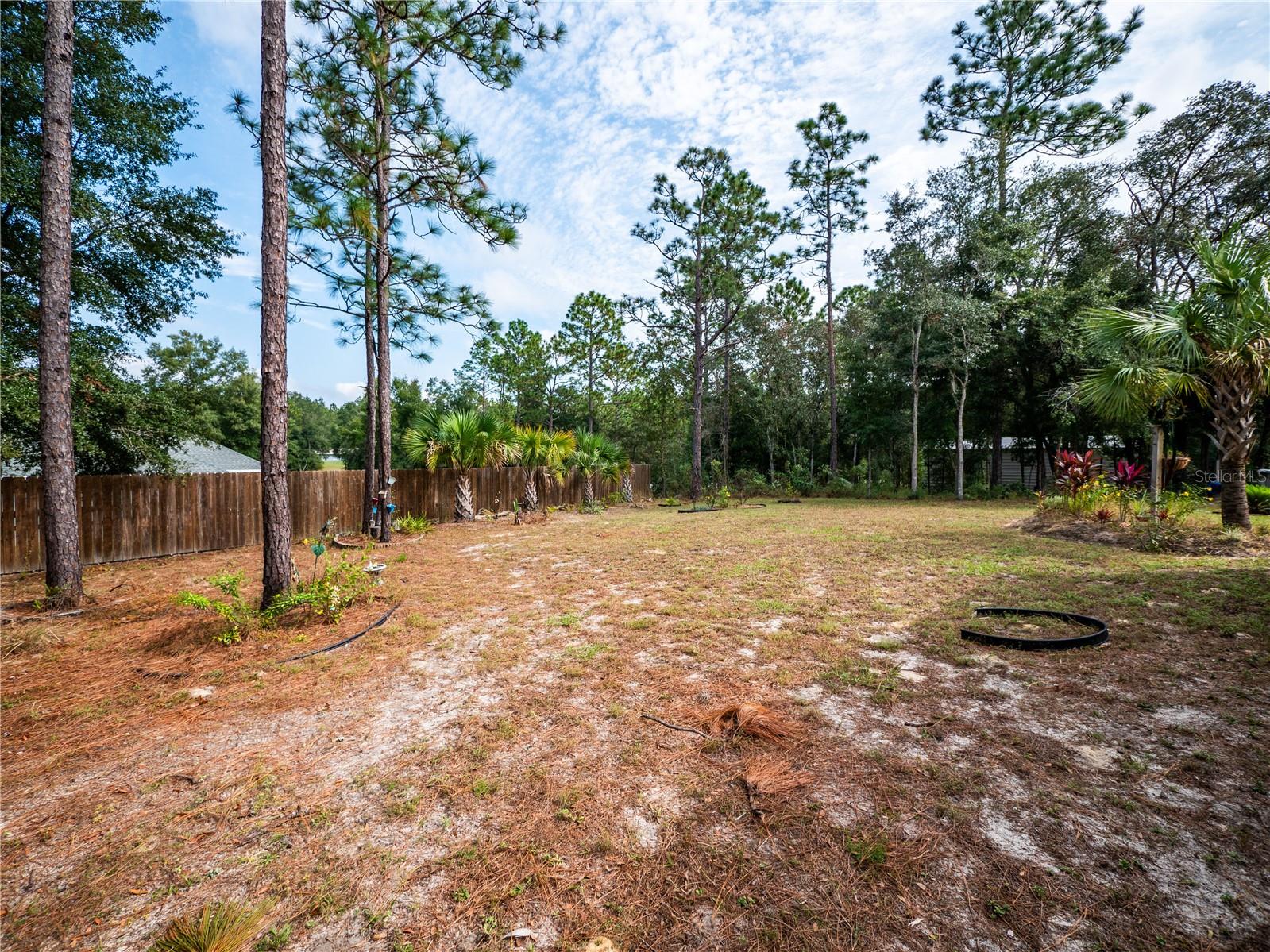 12805 SW 64TH LN, OCALA, FL, 34481