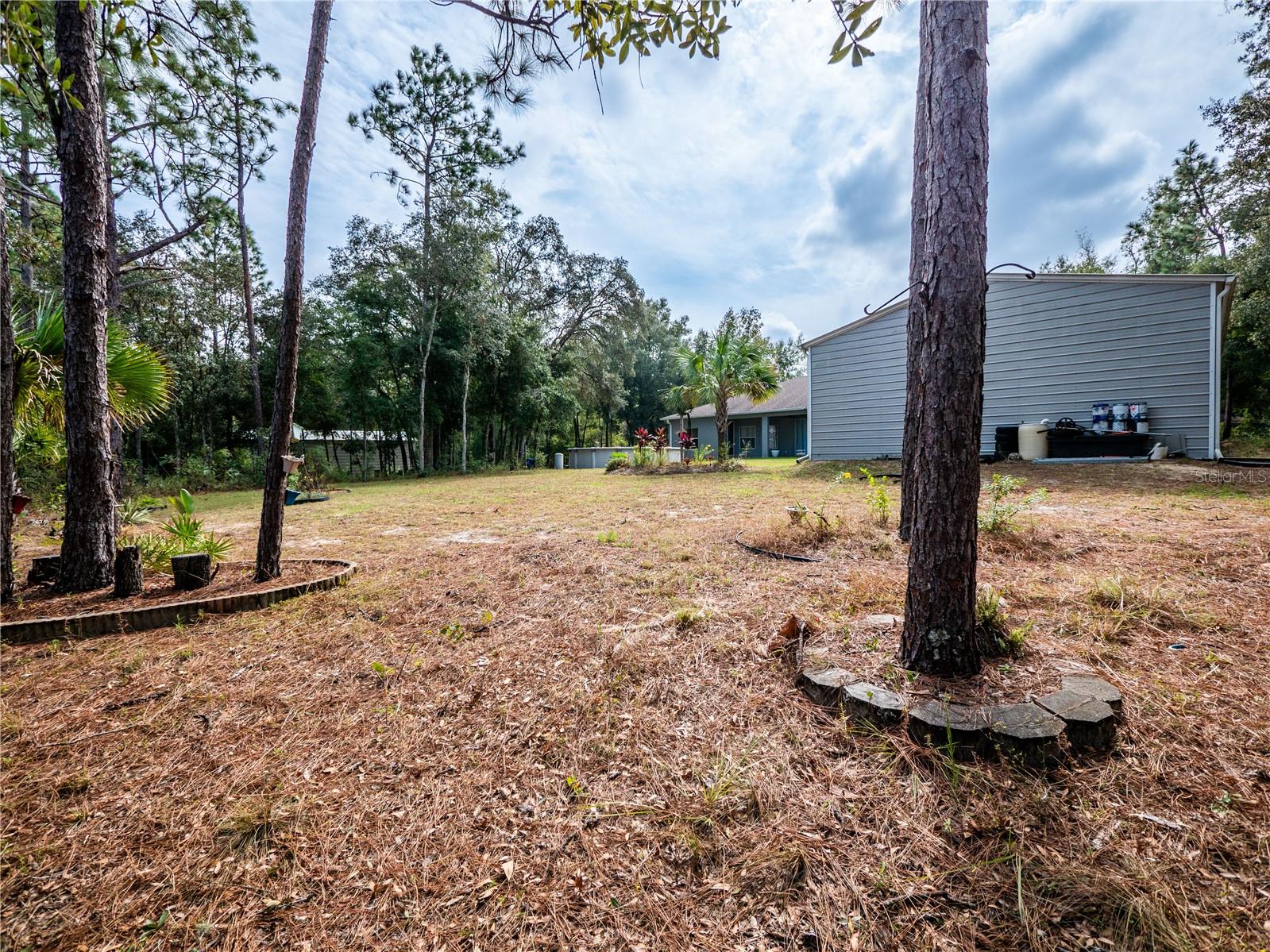 12805 SW 64TH LN, OCALA, FL, 34481