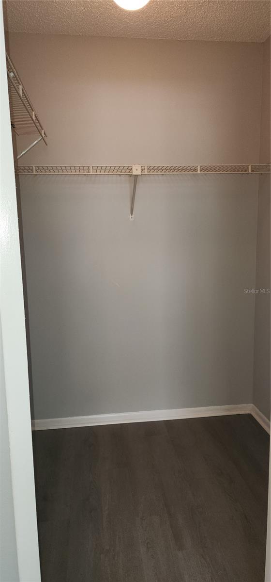 7515 LEON AVE, TEMPLE TERRACE, FL, 33637