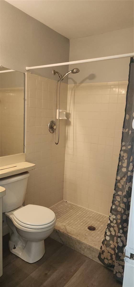 7515 LEON AVE, TEMPLE TERRACE, FL, 33637