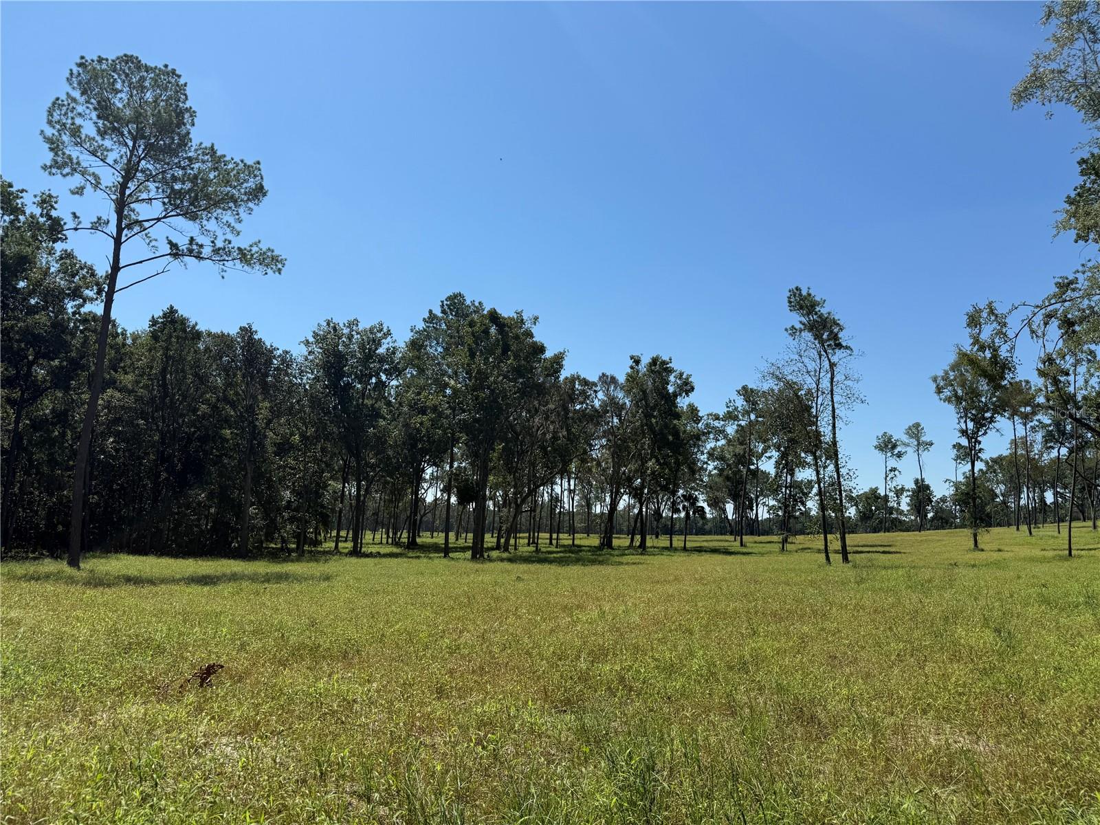 62ac NW 193RD ST, MICANOPY, FL, 32667