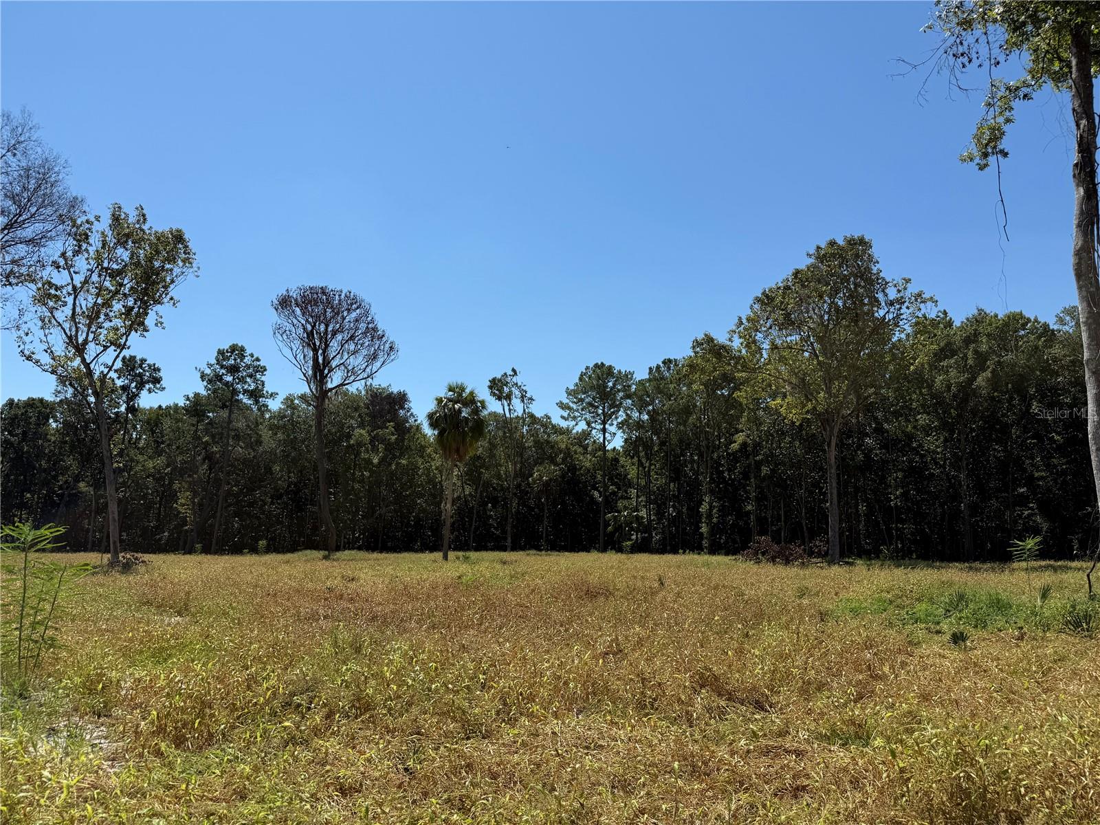 62ac NW 193RD ST, MICANOPY, FL, 32667