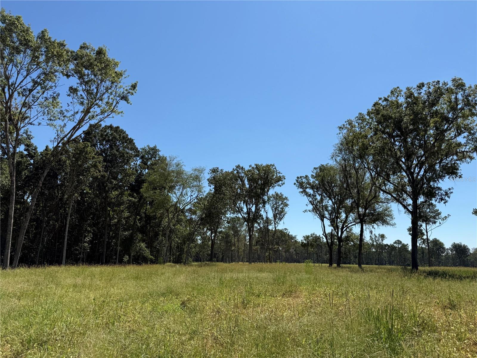 62ac NW 193RD ST, MICANOPY, FL, 32667