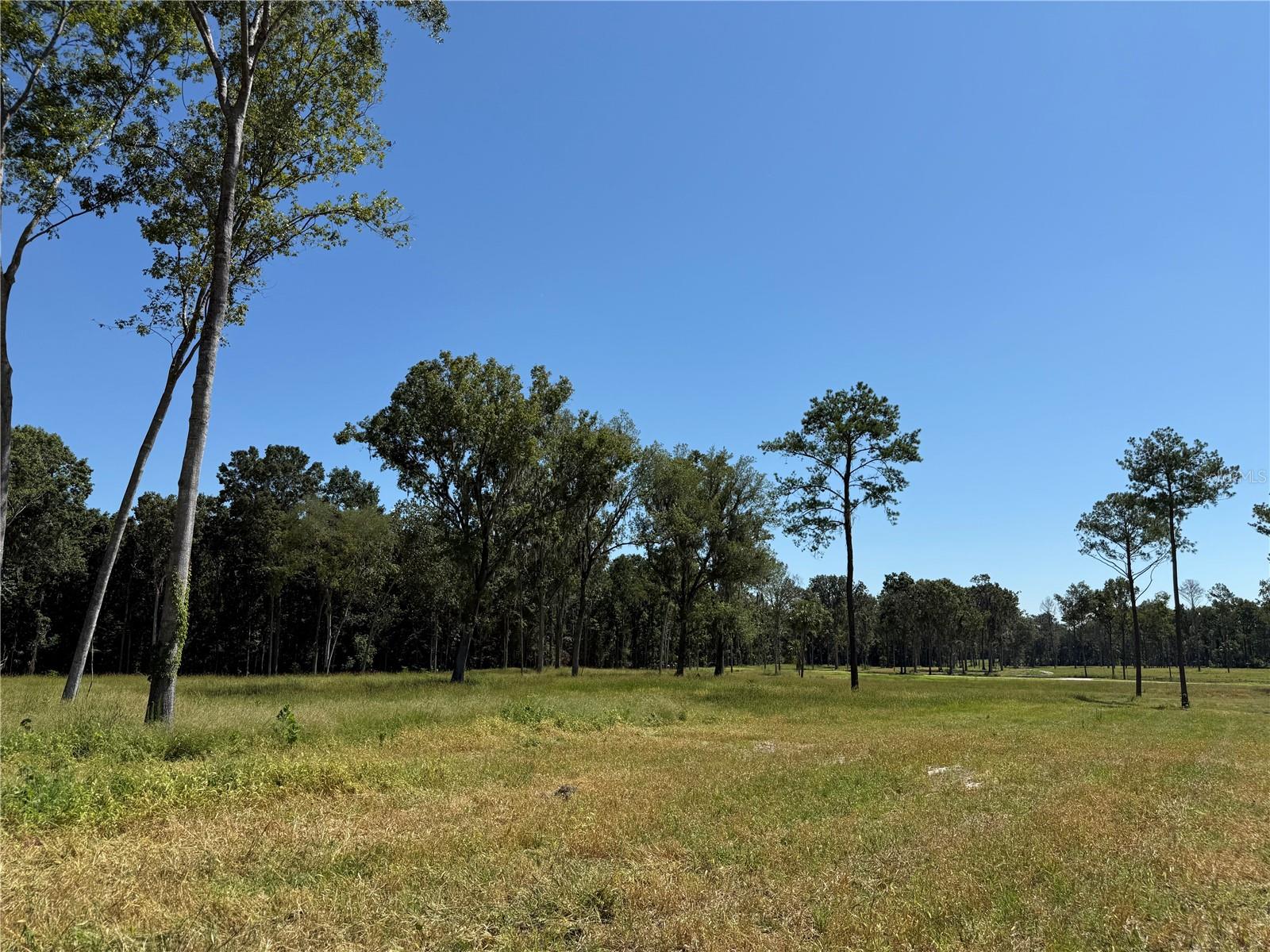 62ac NW 193RD ST, MICANOPY, FL, 32667