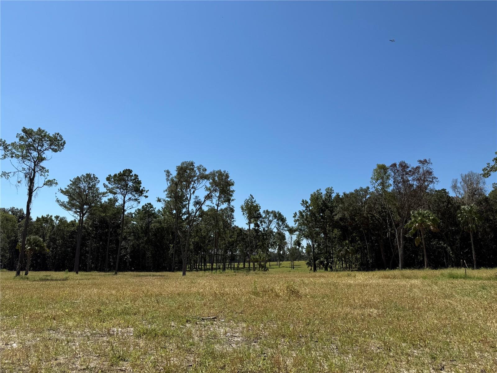 62ac NW 193RD ST, MICANOPY, FL, 32667