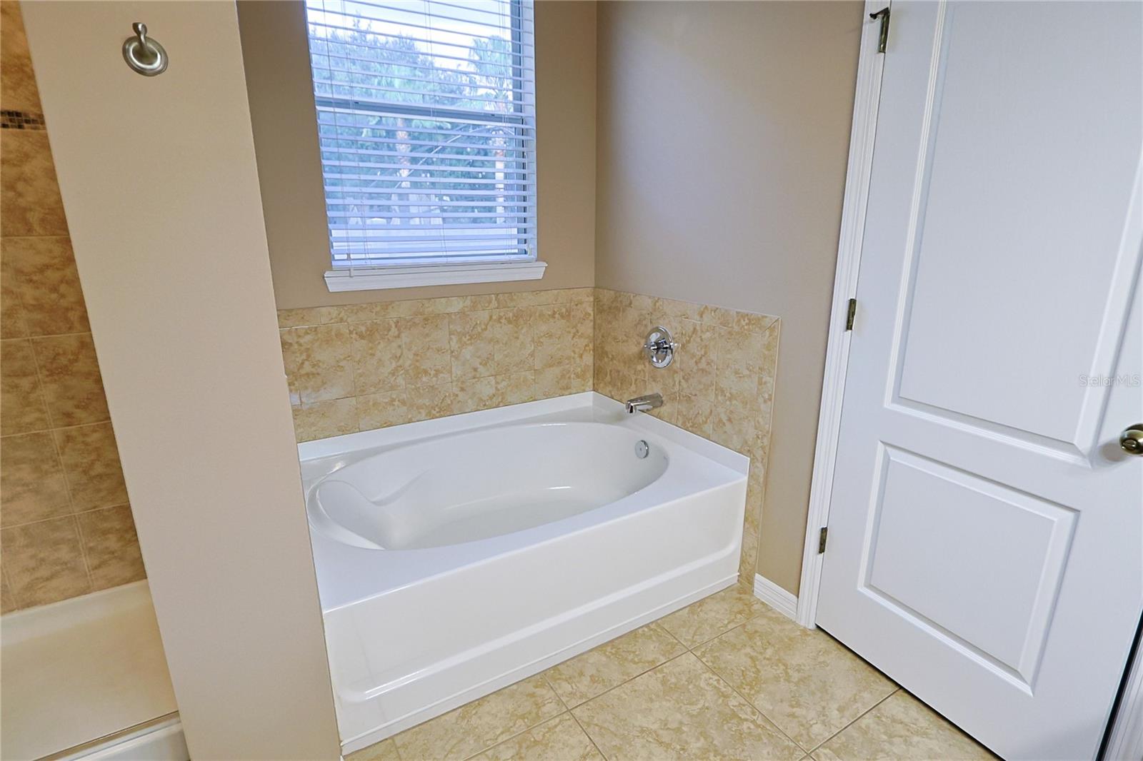 2356 LIVORNO WAY, LAND O LAKES, FL, 34639