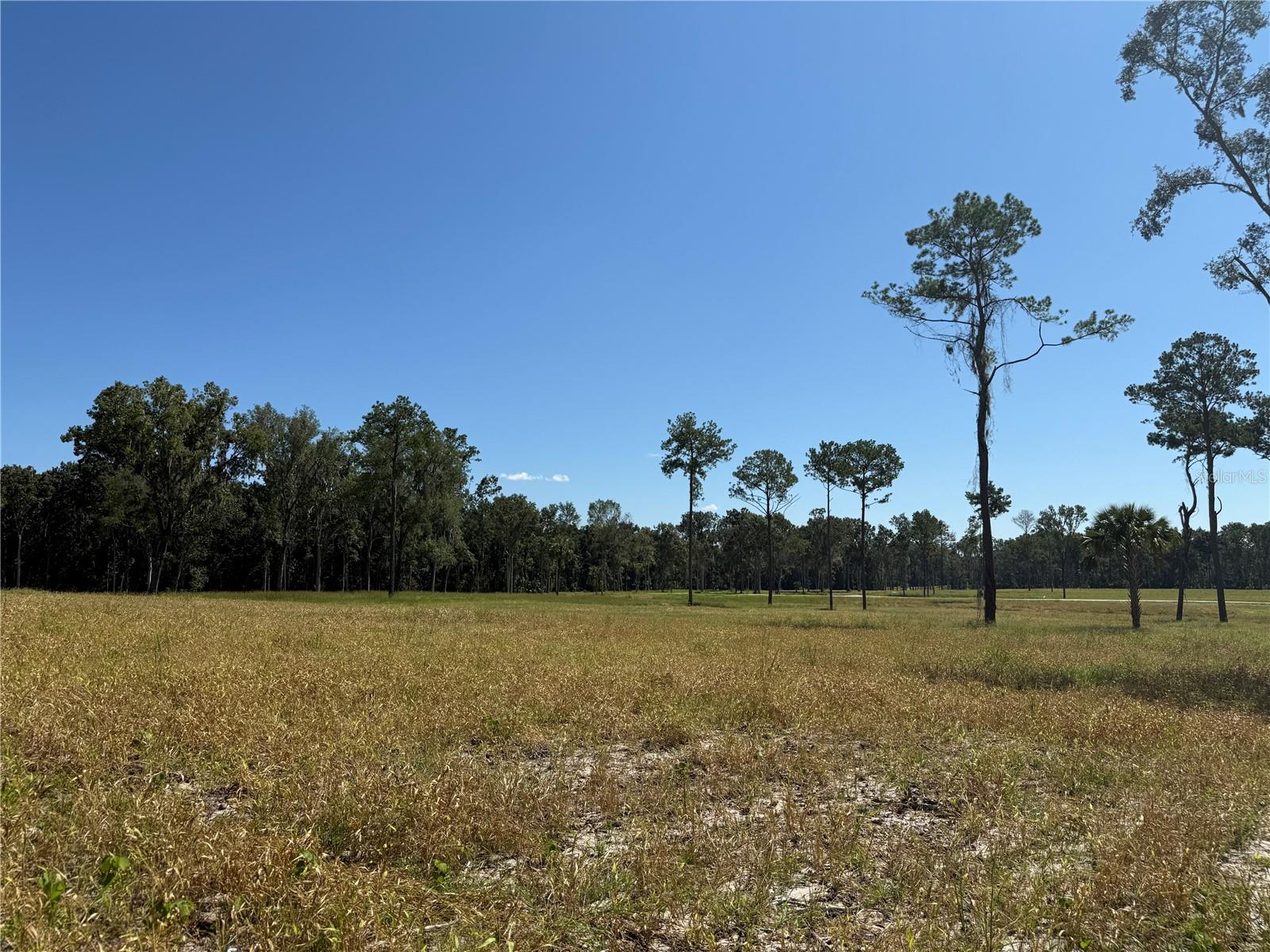 84ac NW 193RD ST, MICANOPY, FL, 32667