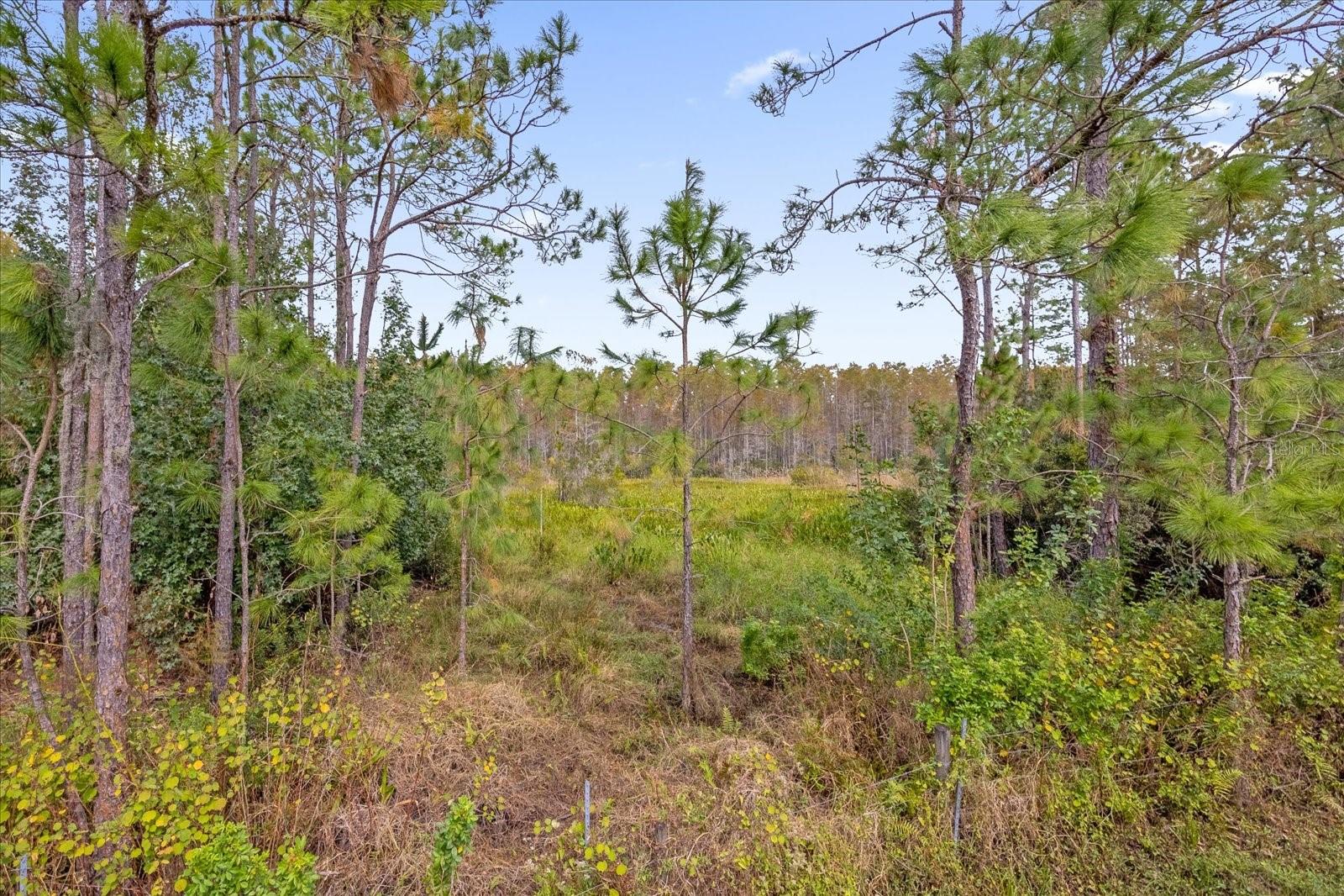 3075 BEAVER CREEK DR, KISSIMMEE, FL, 34746