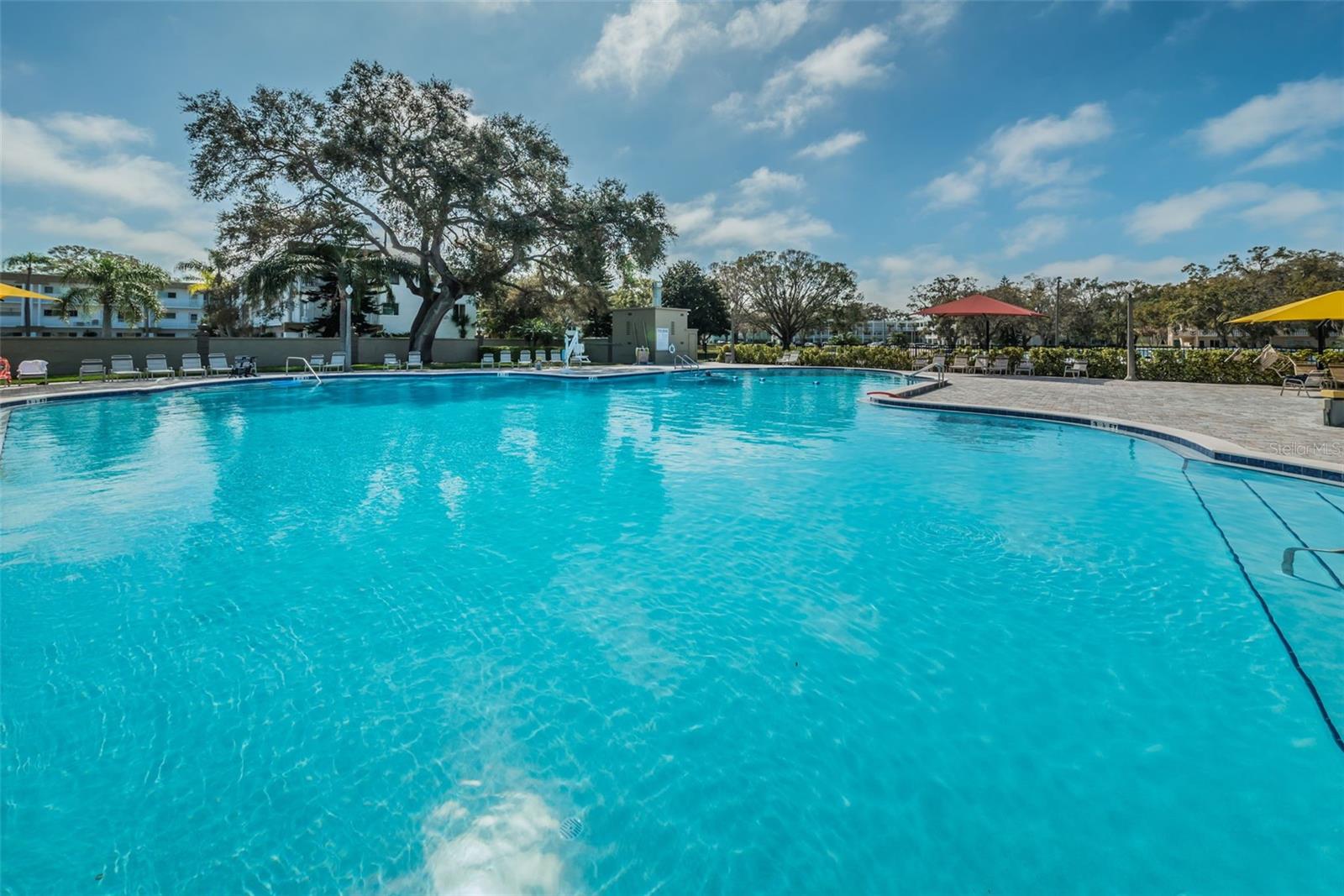2293 SWEDISH DR #43, CLEARWATER, FL, 33763