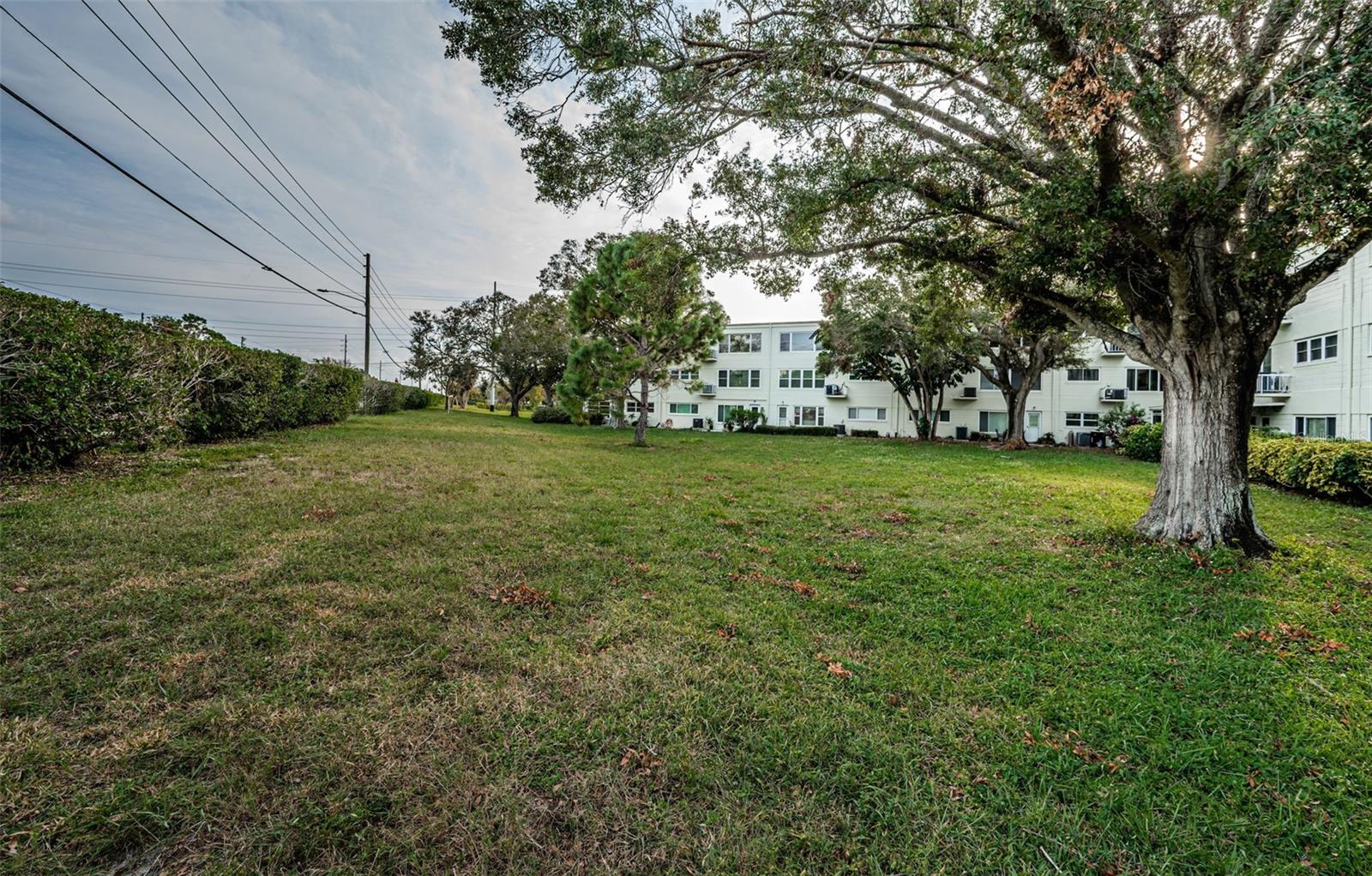 2293 SWEDISH DR #43, CLEARWATER, FL, 33763