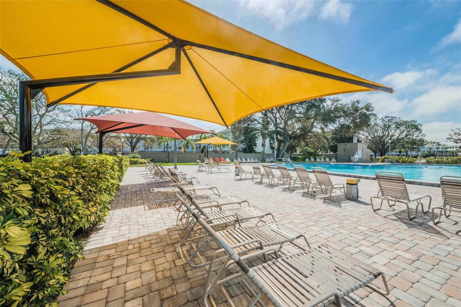 2293 SWEDISH DR #43, CLEARWATER, FL, 33763