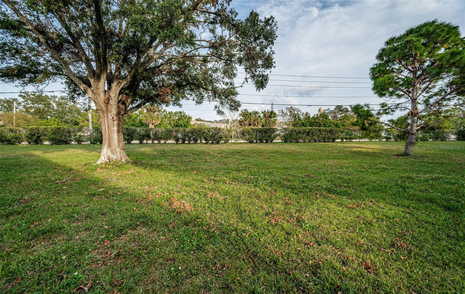 2293 SWEDISH DR #43, CLEARWATER, FL, 33763