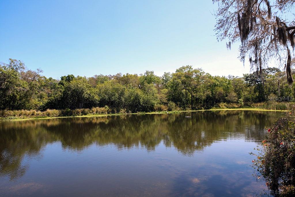 2625 STATE ROAD 590 #1423, CLEARWATER, FL, 33759
